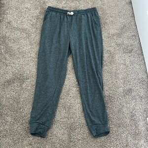 Women’s Zyia blue jogger size Large